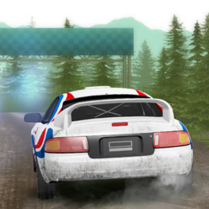 Rally Champion - Challenge Your Skills